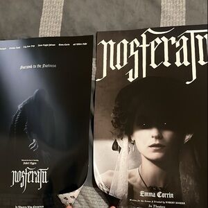 Nosferatu Movie Poster (2-SIDED) 2024 - Friday 12/13 ORIGINAL & RARE 11 x 17